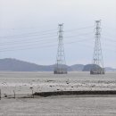 대부해솔길 2코스 이미지