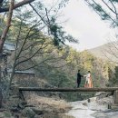 하회안동찜닭 이미지