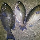 수심경로당 이미지