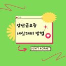더셜리영어학원