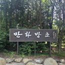 내촌어린이공원 | 경남 고성 가볼만한곳 수국축제 고성 만화방초 개화상황 입장료