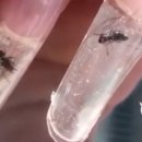 써니네일 (SUNNY NAIL) 이미지