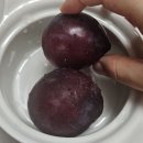 할렐루야치과의원 | [임신 일상] 35주차 임산부 스케일링 받고, 출산을 대비하는(?) 일상