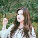 주식회사 새얀 이미지