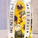 연진화분