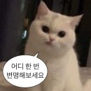 (주) 쥬엔 이미지