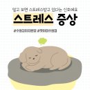 AMI PET 네이버블로그