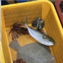 청호활어회센터 이미지