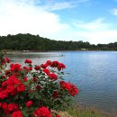 풍암호수공원 이미지