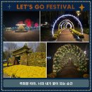 서동선화 한옥체험민박 | 2025 백제고도 부여국화축제 일정, 예매, 라인업, 숙박, 맛집, 주차 사전준비 꿀팁