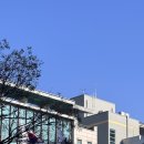 수원국제행정사사무소 이미지