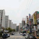 배들가축 이미지