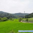 구도리 태양광발전소 이미지