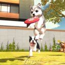 퍼피커뮤니케이션 이미지