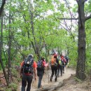 송제한의원 | (2009.4.22.수)더천천히 가는 수락산 산행후기...동근대장님