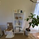 공유게스트하우스 이미지