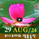 [0829&#39;24] O 모나로타의 명품술잔 이미지