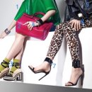 스티브앤스텔라 이미지