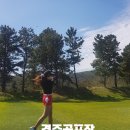 대경골프투어
