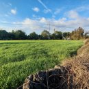 예술인마을공인중개사사무소 이미지