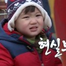 호야 스시 이미지