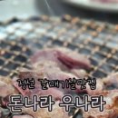 돈나라우나라 이미지