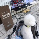 오토김밥성남