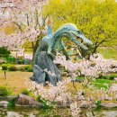 (주)아이올쇼핑 이미지