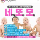 내돈내산 네오캐 수면교육 * 네또모 네스트 오브 캐나다
