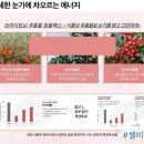 셀비아뷰티 이미지