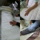 이불쟁이 이미지