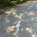 불모산경로당 | (창원) 창원 가볼 만한 절, 마음이 편안해지는 ‘성주사’ 방문 후기