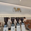 퍼센트아라비카(%ARABICA) 티스토리