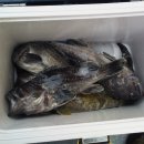 만리포식당 이미지