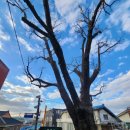 개화동 상사마을입구 이미지