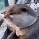 스위스약국 이미지