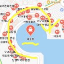 민정수산 | 속초) 대포항 수산시장 대게맛집 회맛집(민정이네, 주차 가격)