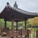 경상남도수목원(수생식물원) 이미지