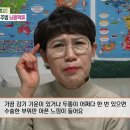 [닥터의 경고, 뇌동맥류] 추운 겨울 급증하는 뇌졸중! 대부분 뇌동맥류 파열로 발생 뇌동맥류 폐경기 이후 여성 특히 위험... 이미지