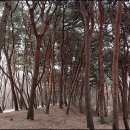 황도면옥 네이버블로그