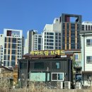 홀브라운 광주 &amp; 파파드림브레드 | 광주 첨단 빵집 | 건강빵 투어
