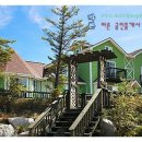 도은공인중개사사무소 이미지