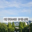 언덕위하늘정원 | 창원수목원 6월 12일 방문 후기｜수국 개화 상황과 초여름 산책