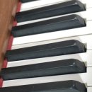 삼익1차(아) | 피아노 조율, 검은건반 곰팡이 약품처리 후기 및 가격 (춘천)