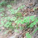 홍천농장 이미지