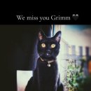 함께사는세상(주) 이미지