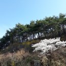 진남주유소 이미지