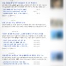 전기통신사업법 조사, 대포폰 대포 유심칩 판매자 처벌 사례