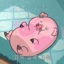 스트롱살롱 이미지