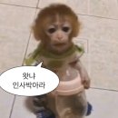 박만두